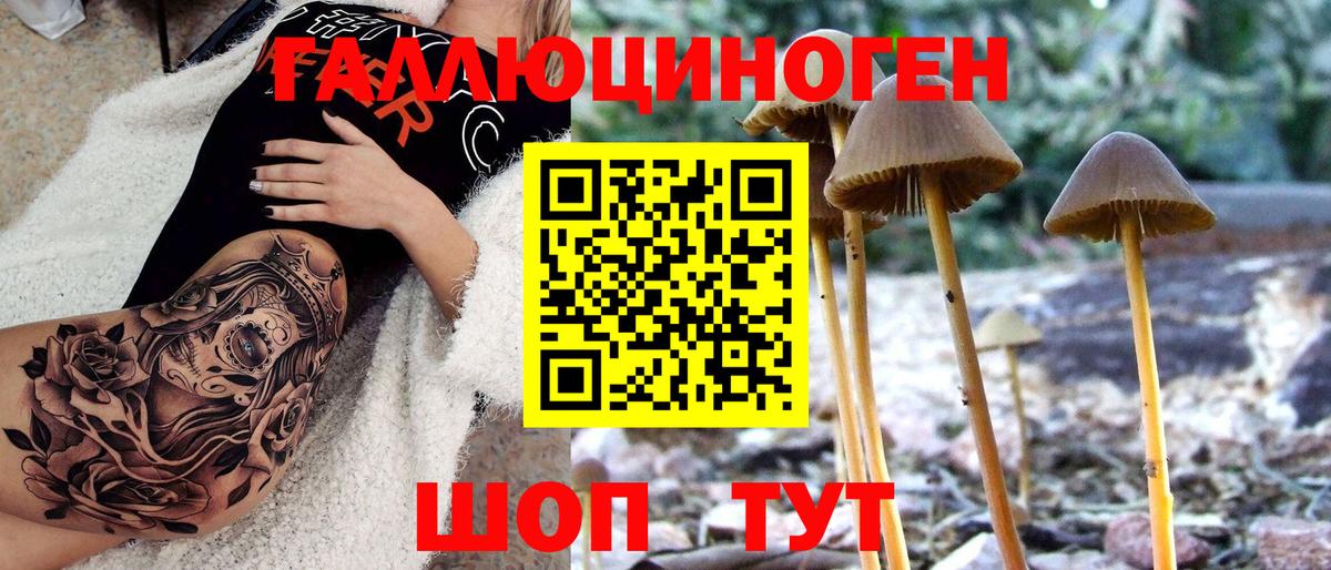 Чебаркуль  Галлюциногенные грибы прущие грибы  Псилоцибиновые грибы Psilocybine cubensis  Вход с VPN 